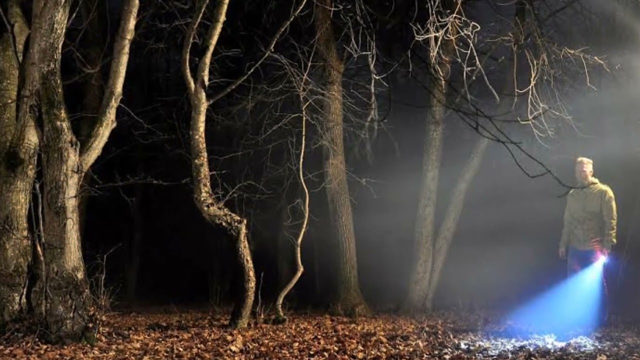 Most Haunted Ohia Baciu Forest of Armenia -True Horror Story