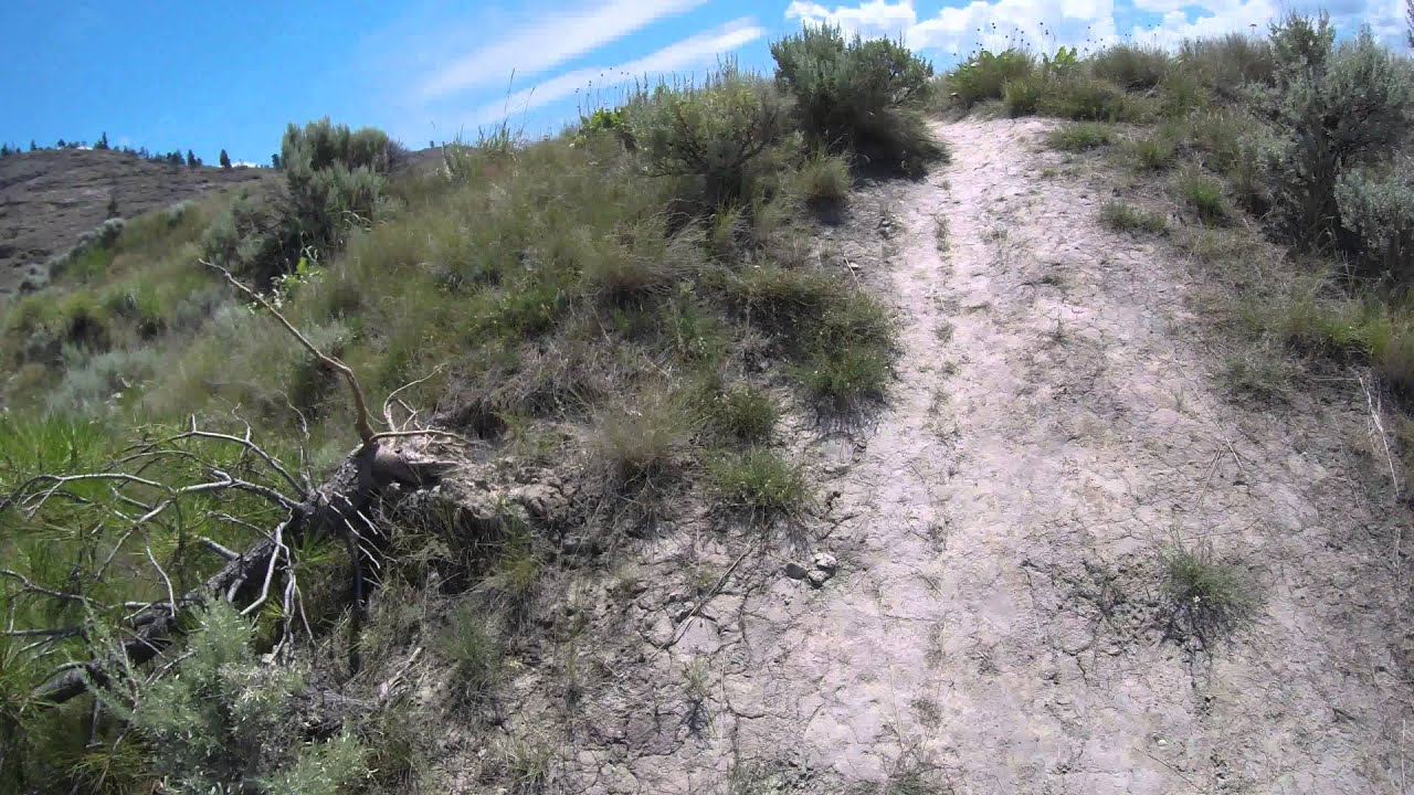 Rattlesnake Island
