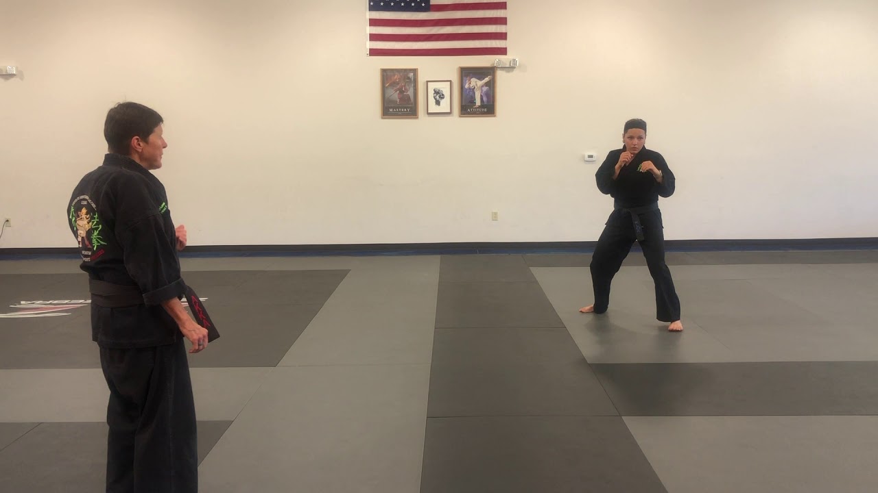 AKKA Karate Class #24