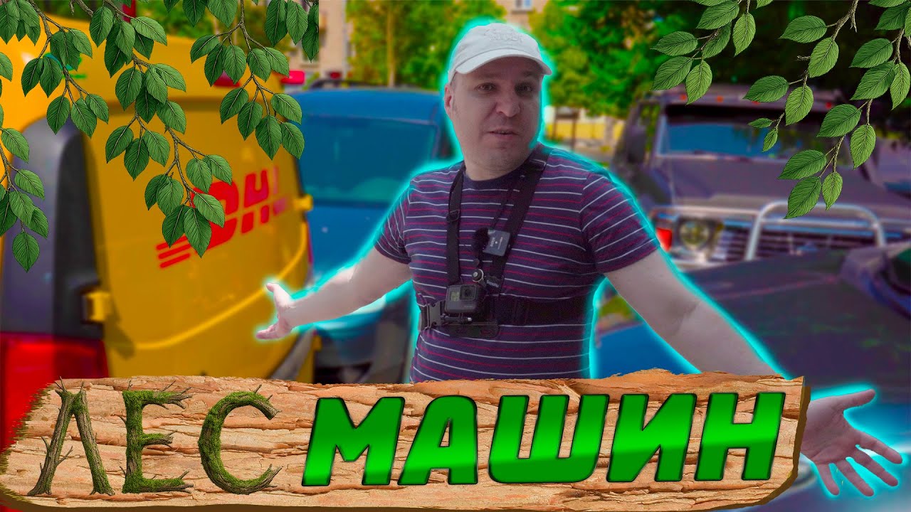 Лес машин 🌲🌲🌲