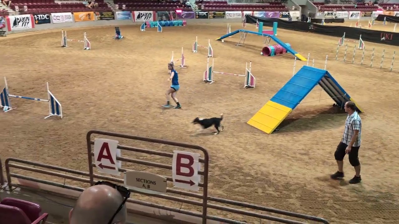 Stevi-Nixx & Lindsey - UKI US Open 2025- Master Series Agility 5th Place. 8th Overall!