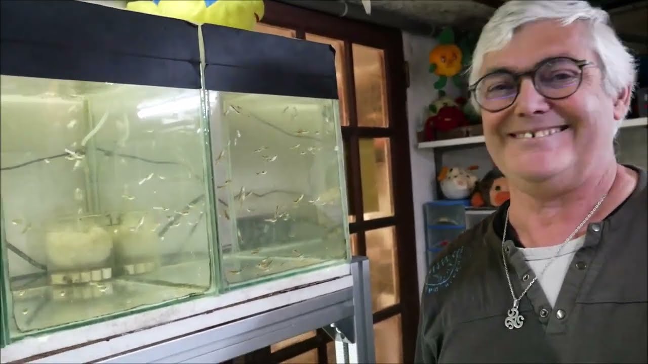 Aqua tour chez un éleveur de poissons et crevettes