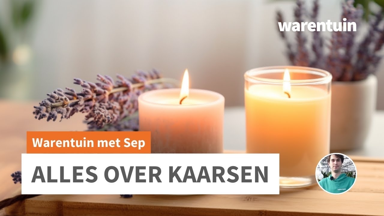Alles over Kaarsen