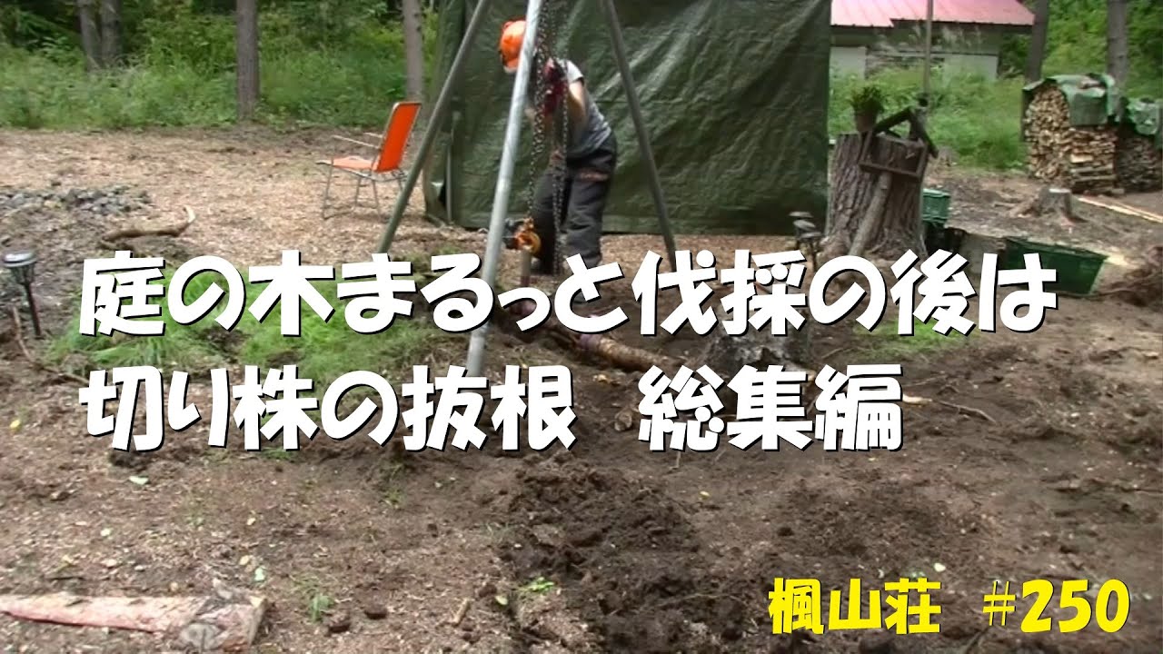 ＃２５０　伐採後は切り株の抜根　総集編／直径20cm程度～60cm超えまで手掘りで頑張るおばさん