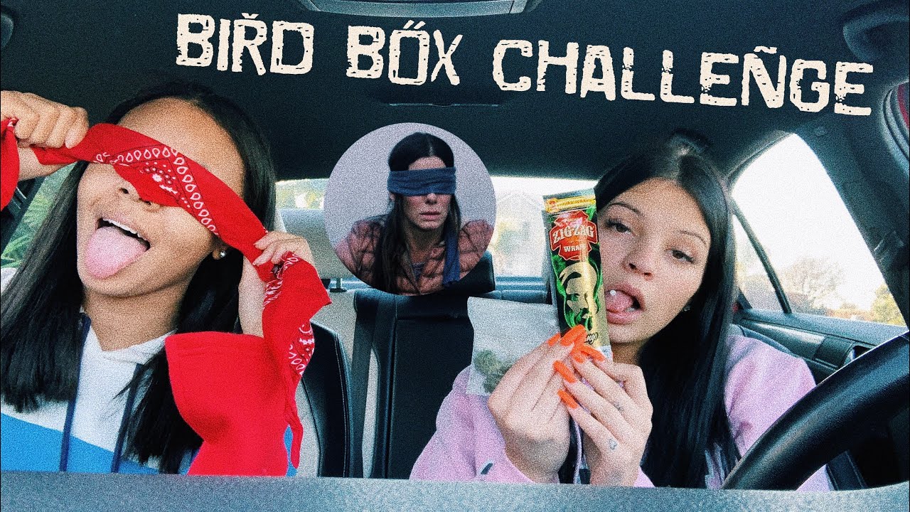 EXTREME BIRD BOX CHALLENGE | Rolling a blunt blindfolded