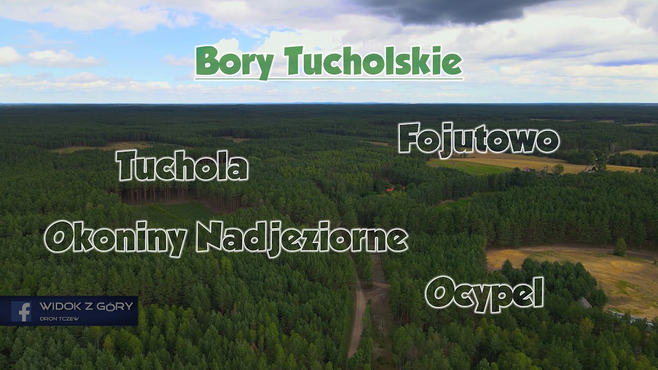 Bory Tucholskie 2022 - Widok z góry Dron Tczew