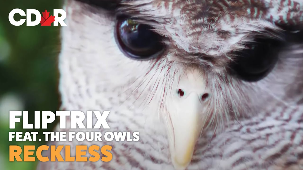 Fliptrix - Reckless - Feat. The Four Owls (Reaction)