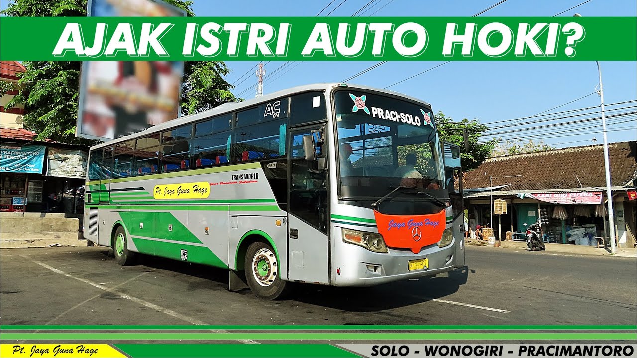 AJAK ISTRI BERBURU MERCY LAWAS | Jaya Guna Hage Solo - Pracimantoro