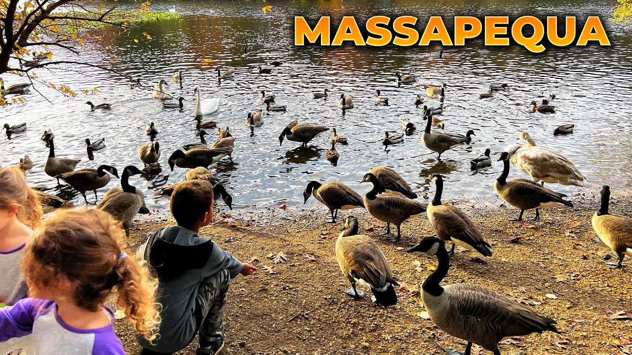 Walking Massapequa & Massapequa Park, Long Island, NY in October 2022