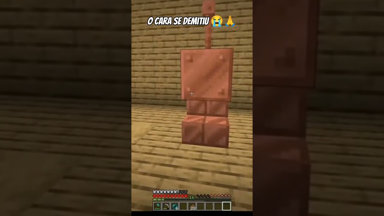 é só porco baú 