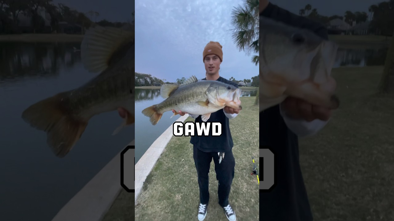 Insane 🤯 #BigCatch #FishingLife #TrophyFish #BassFishing #AnglersParadise #GoneFishing #ReelAction