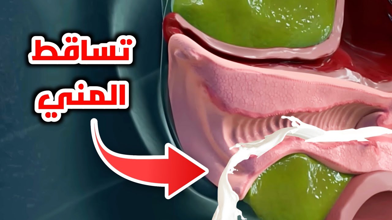 تساقط السائل المنوي من المهبل بعد الجماع_Semen leakage from vagina after intercourse