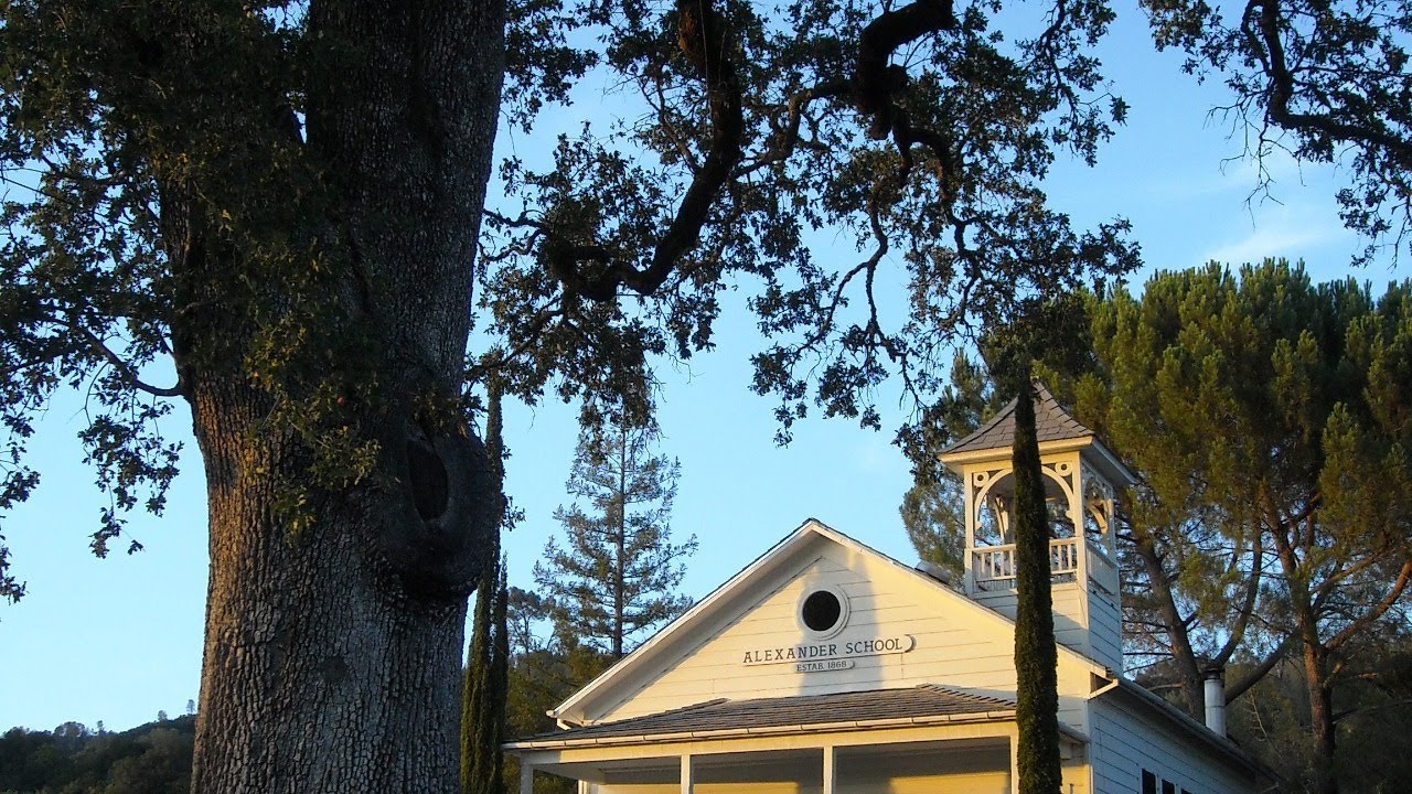 Alexander Valley Vineyards Cabernet and Sin Zin 10 Minute Tasting--30SecondSomm