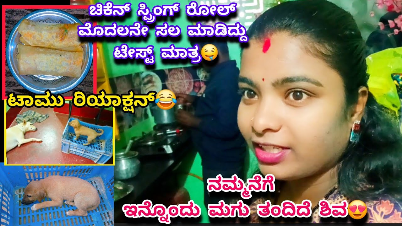 538vlog...ಟಾಮುನೇ🐶ಅವ್ನ್ ಬೆಡ್ ರೆಡಿ ಮಾಡ್ಕೋತವ್ನೆ😂/ಹಸಿ ಮಸಾಲೆ ಹಾಕಿ ಸಿಂಪಲ್ ಚಿಕೆನ್ ಸಾರು🤤/funny vlog😂