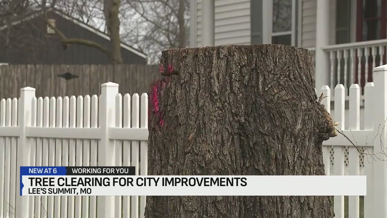 Вырубка деревьев в районе Ли-Саммит вызвала споры в связи с проектом благоустройства города.