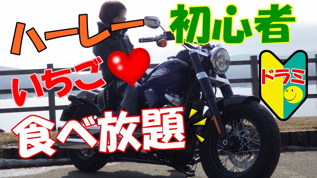 大型☆初心者女性ライダー☆ いちごツーリング☆2018ハーレー ソフテイル スリム『Motovlog #17』