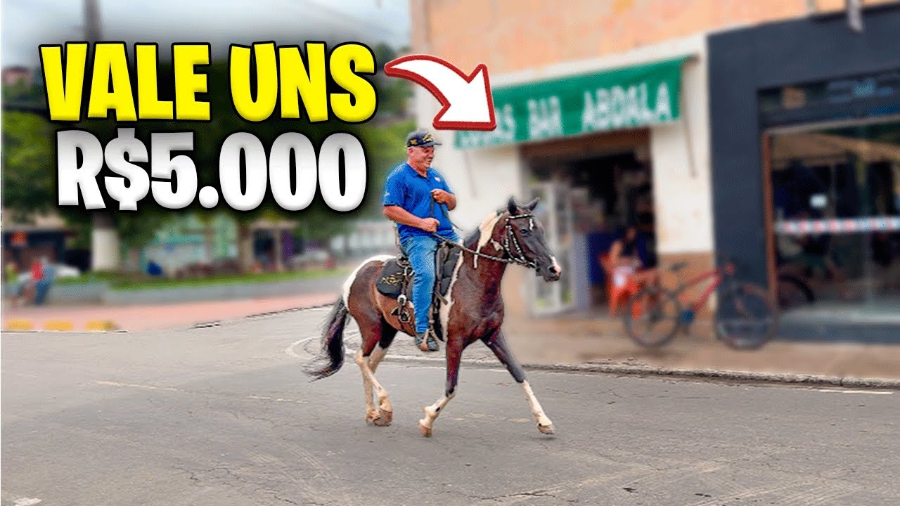 24 HORAS TRATANDO da MINHA TROPA !