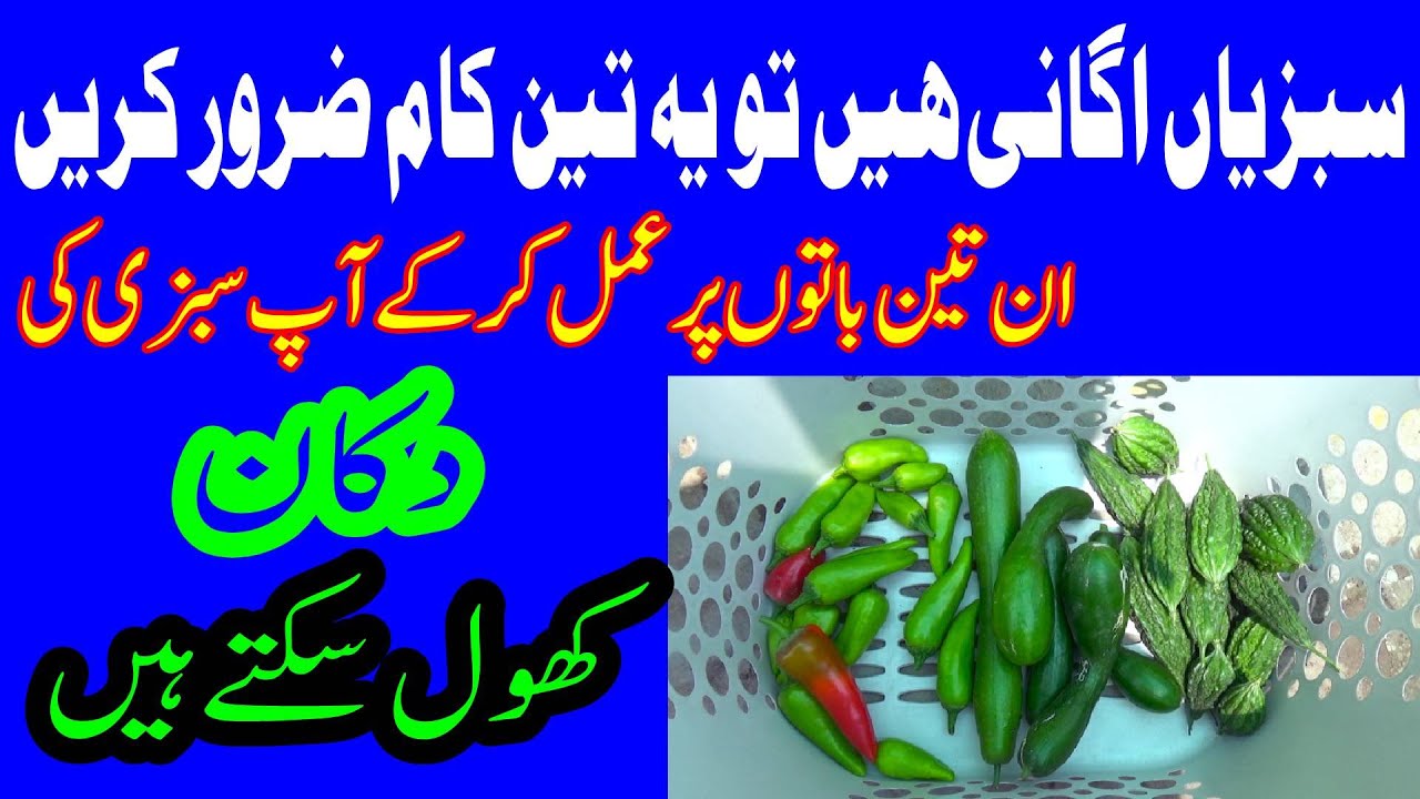 If You Want To Grow Vegetables, Do These Three Things | You Can Also Open a Vegetable Shop