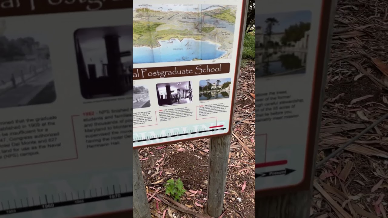Estamos activos! #foryou #fypシ #makeitviral #montereycalifornia #hikingadventures #pontefit