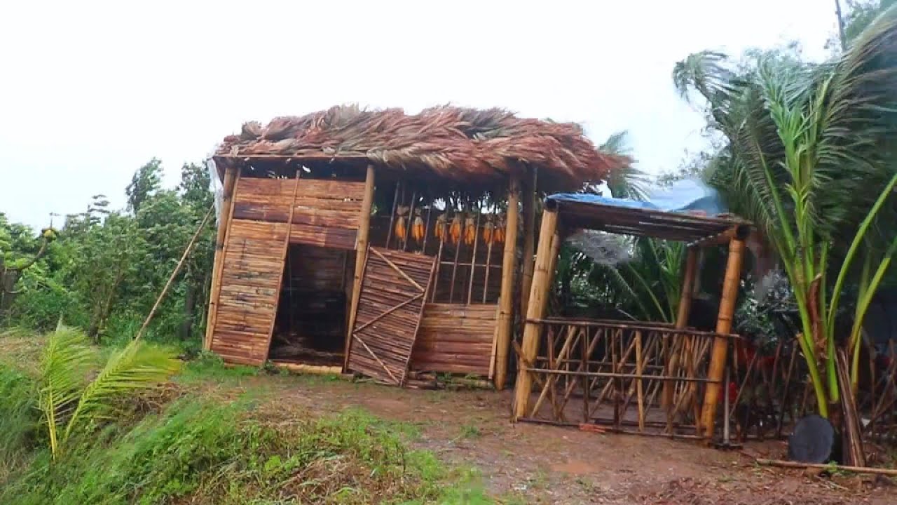 Typhoon Yagi Destroys Bim’s Home