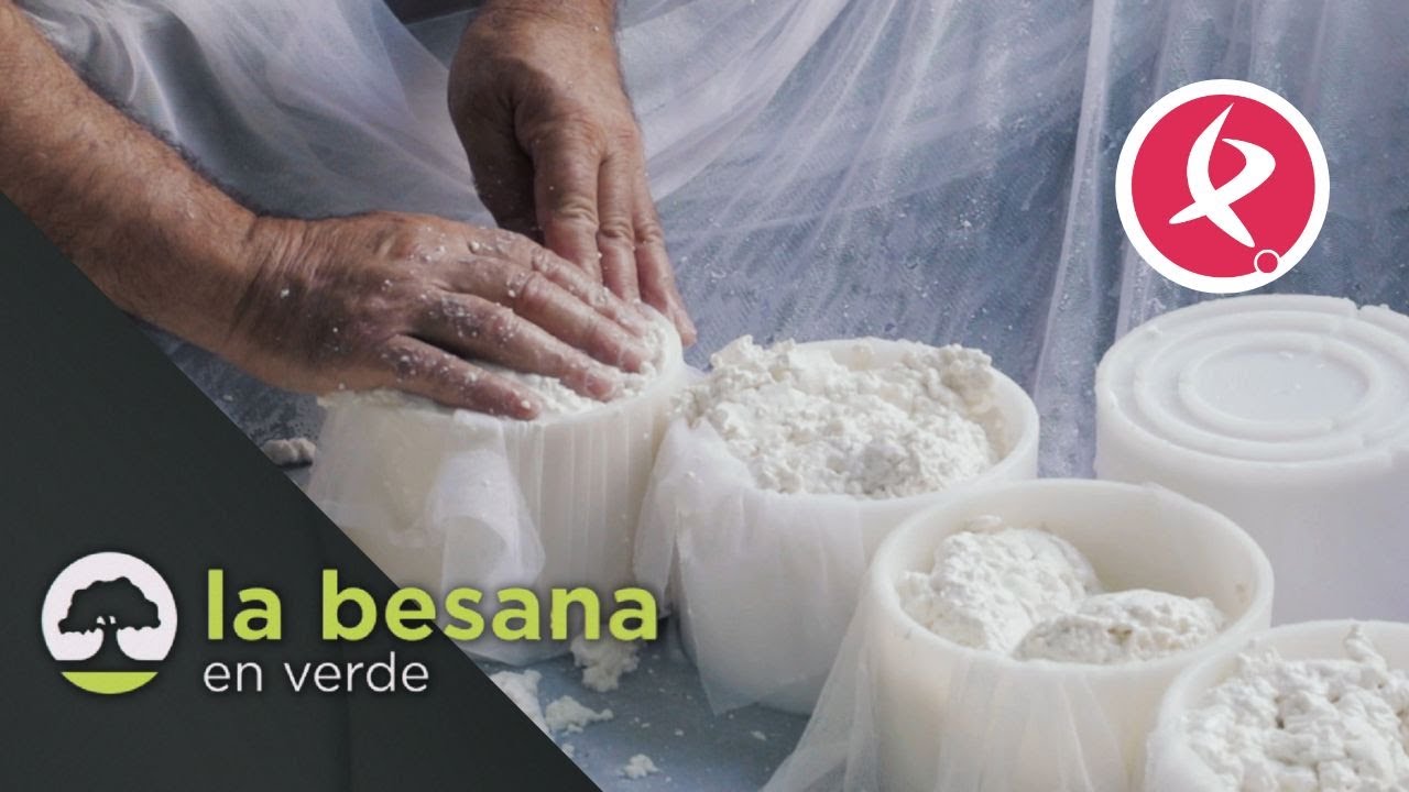 Quesos con sabor a tradición | La besana en verde