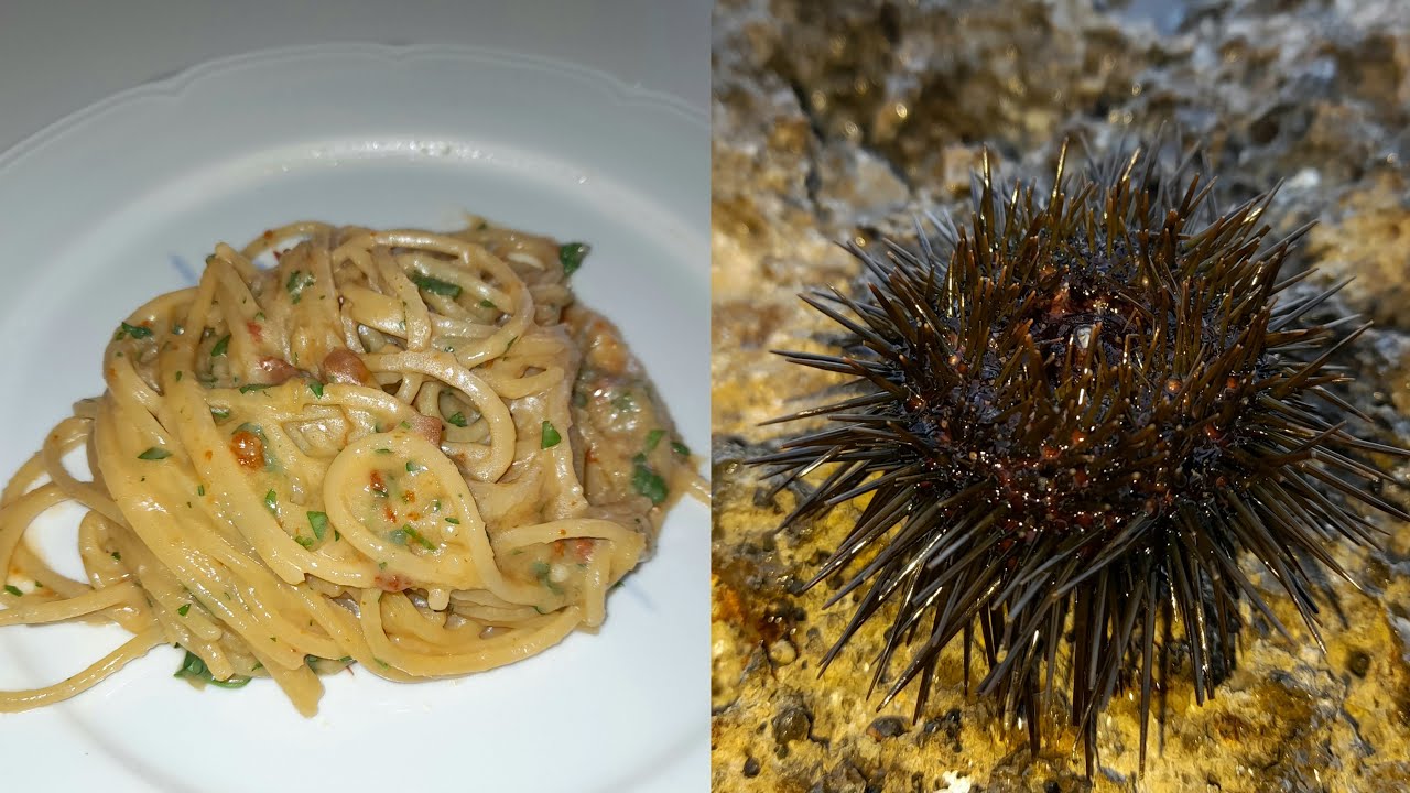 SPAGHETTONI AI RICCI DI MARE
