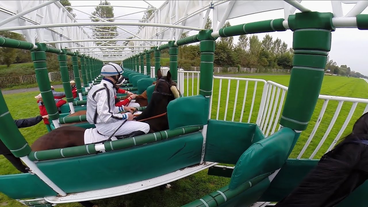 Horse race by jockey´s view extended / Dostih z pohledu žokejky