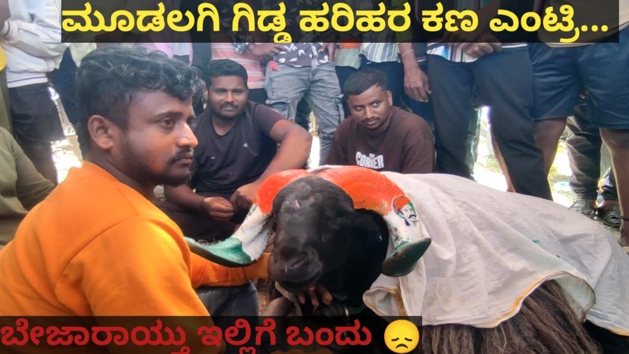 ಮೂಡಲಿಗಿ ಗಿಡ್ಡ.. 22 ಲಕ್ಷಕ್ಕೆ ಕೇಳಿದರು ಕೊಟ್ಟಿಲ್ಲ