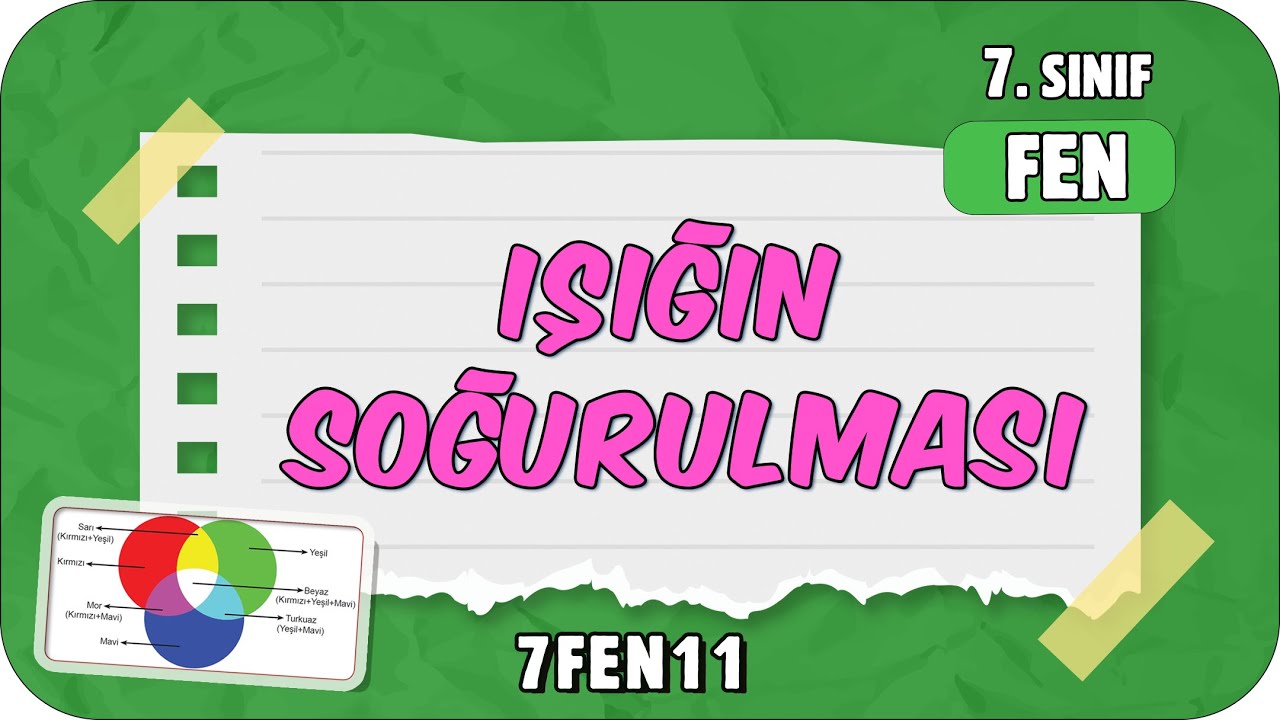 Işığın Soğurulması 📗 7. Sınıf Fen #2024
