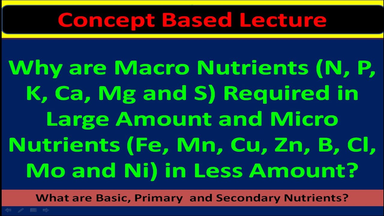 Why are Macro Nutrients Required in Large Amount and Micro Nutrients in Less Amount?