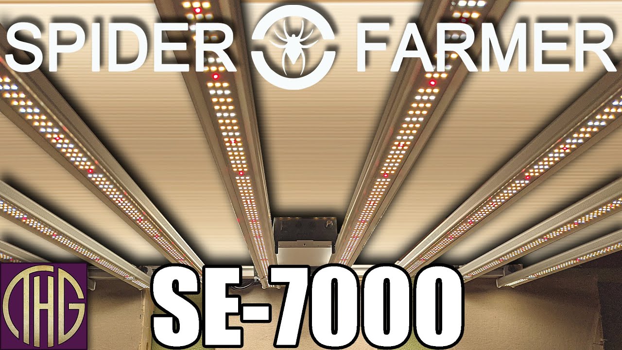 Ослеплённый светом! Обзор светодиодного фитолампа Spider Farmer SE-7000