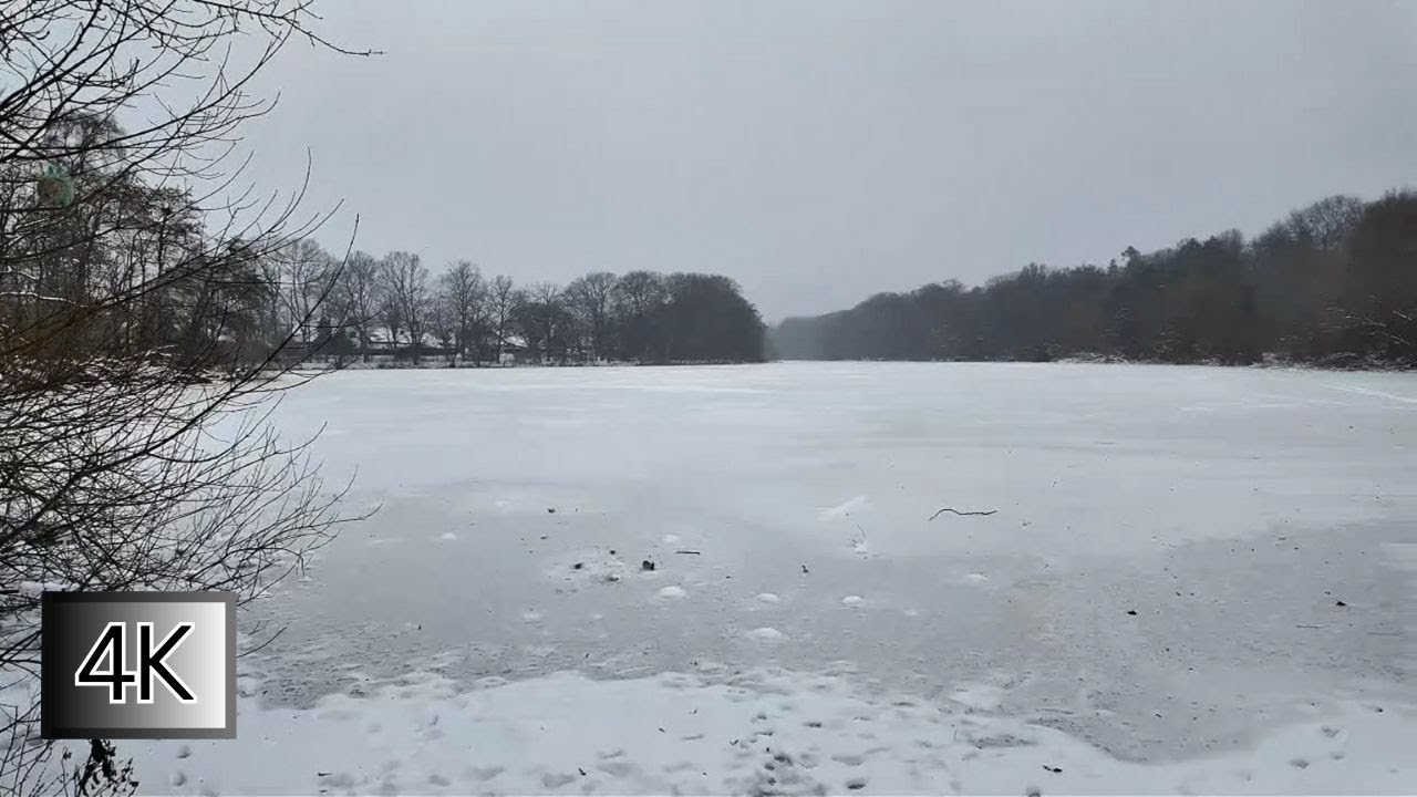 Silent Walk #5 – Frozen Lake in Winter | Peaceful Snow Walk