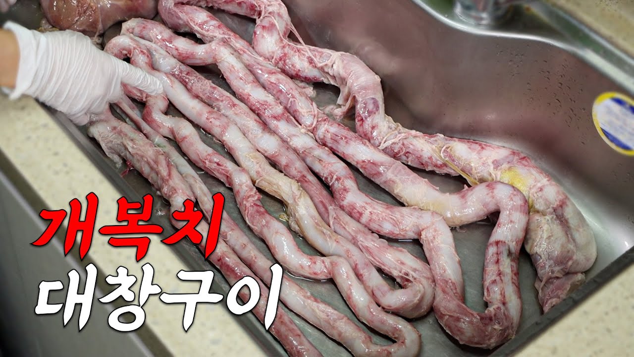 미친 4.8m 개복치 대창구이