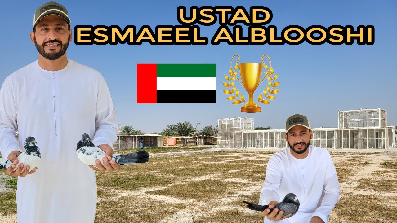 USTAD ESMAEEL ALBALOOSHI U.A.E CHAMPION || R.A.K. U.A.E. PIGEONS||