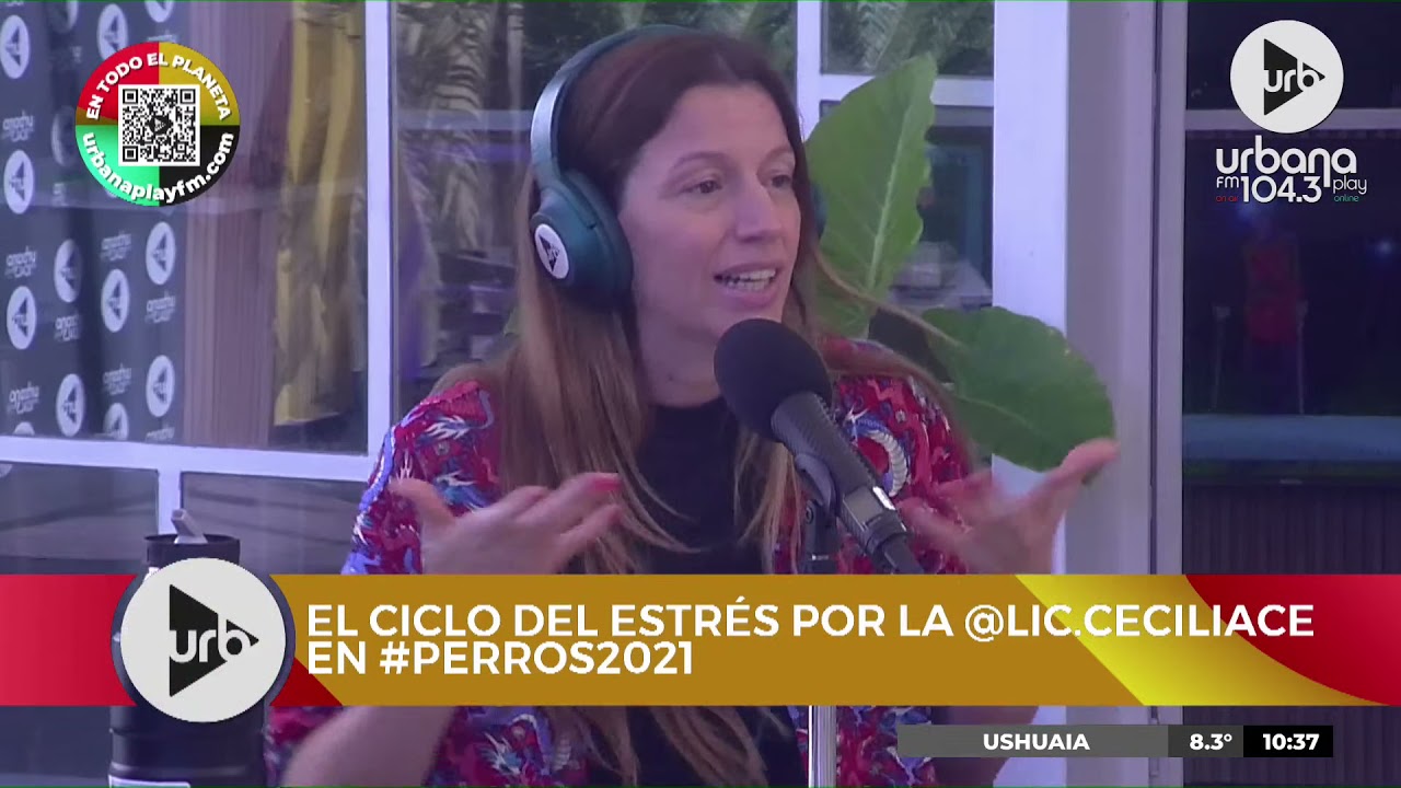 7 maneras de bajar el estrés y mejorar la sexualidad | Lic. Cecilia Ce en #Perros2021