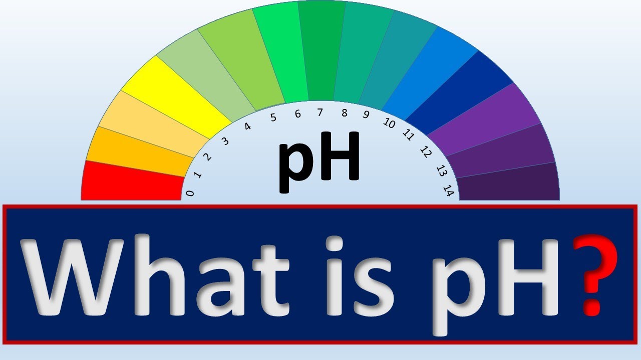 pH (الأس الهيدروجيني) || Biochemistry || سنة أولى طب - كيمياء الحياتية || (M1000) || [3.1]