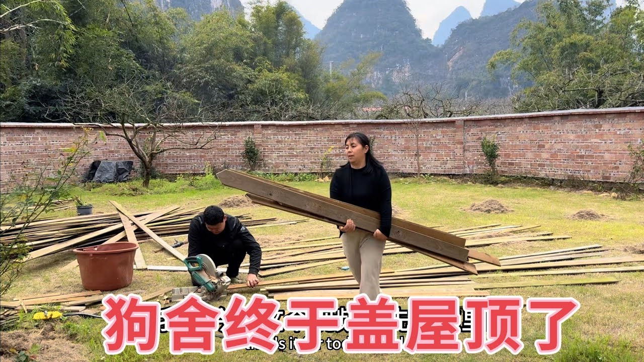师傅终于来建狗舍屋顶了，4只狗狗的木屋小院，防风又保暖，建好后一定很漂亮