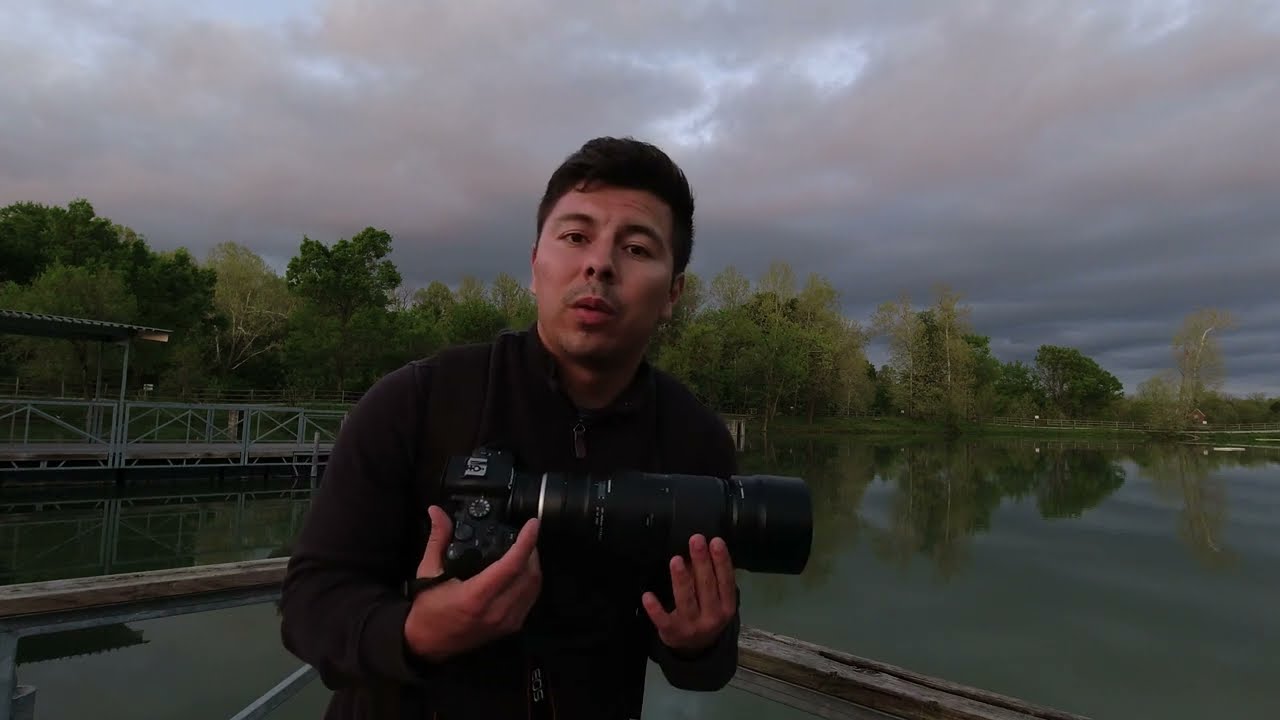 Tamron 100-400mm f/4.5-6.3 VC USD - Is it any good on the Canon EOS R6?