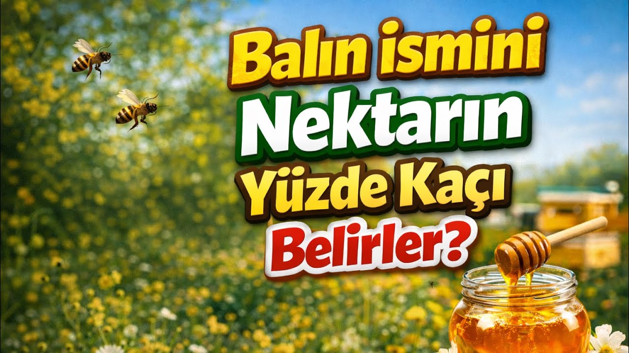 BALIN İSMİNİ NEKTARIN YÜZDE KAÇI BELİRLER