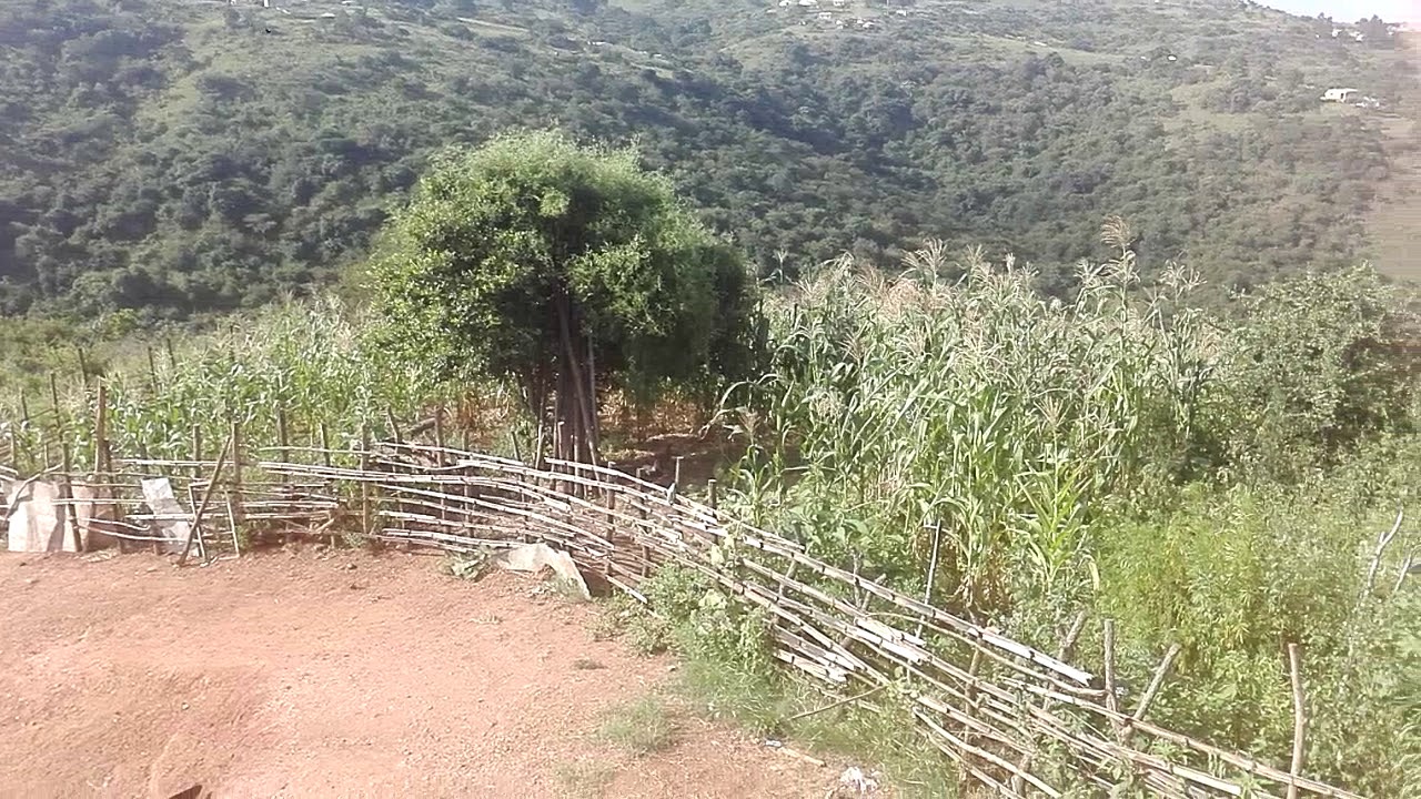 KaMnyandu kwamaphumulo