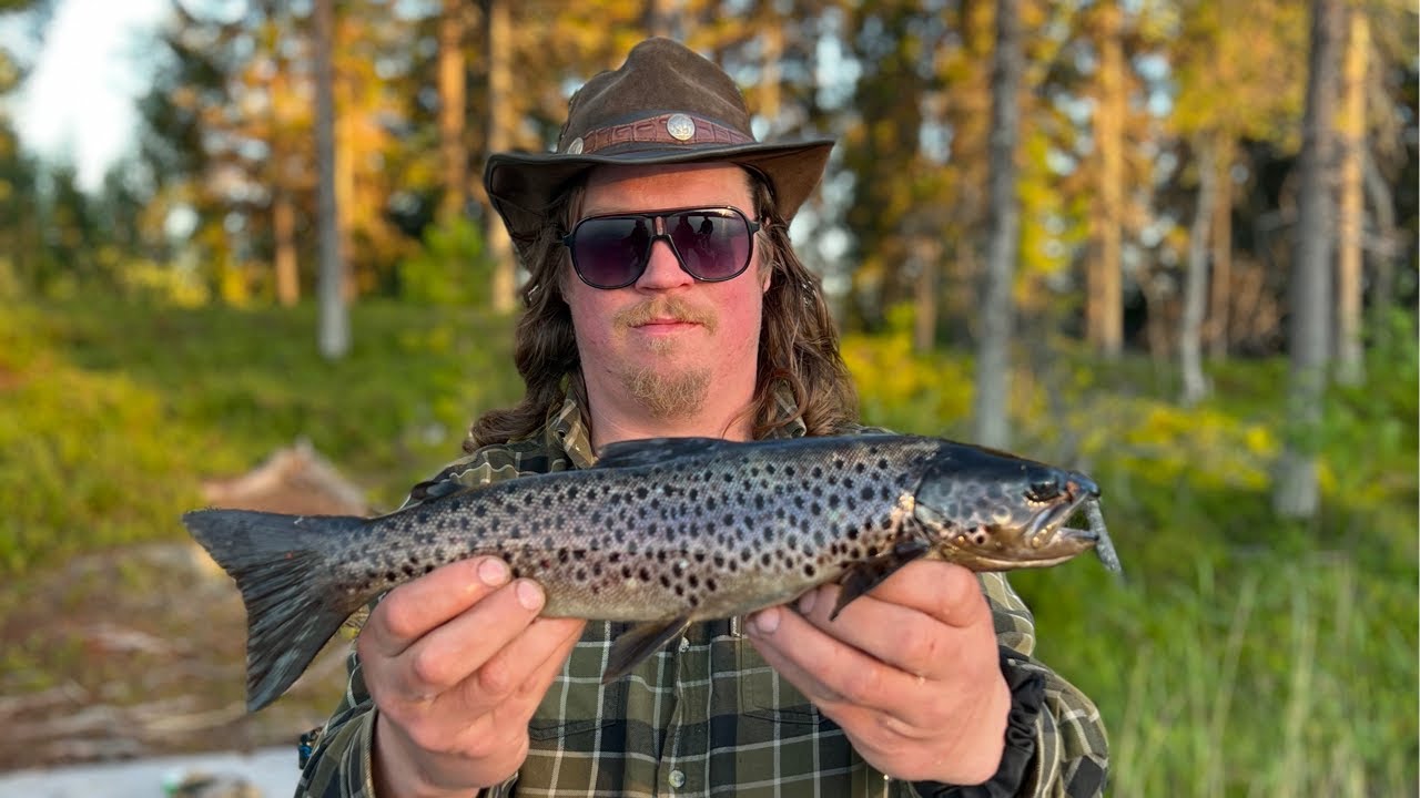 Öringfiske i Jämtland 2022