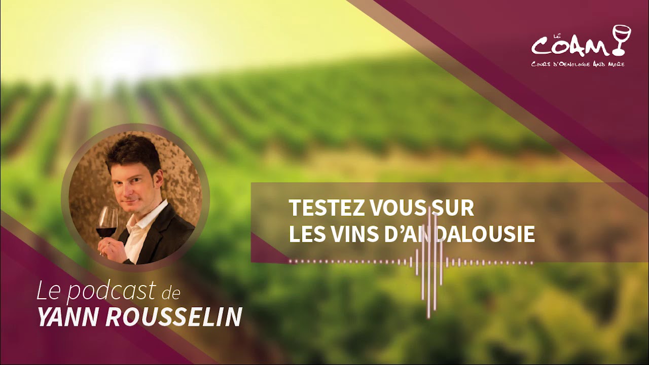 Testez vous sur les vins d Andalousie !