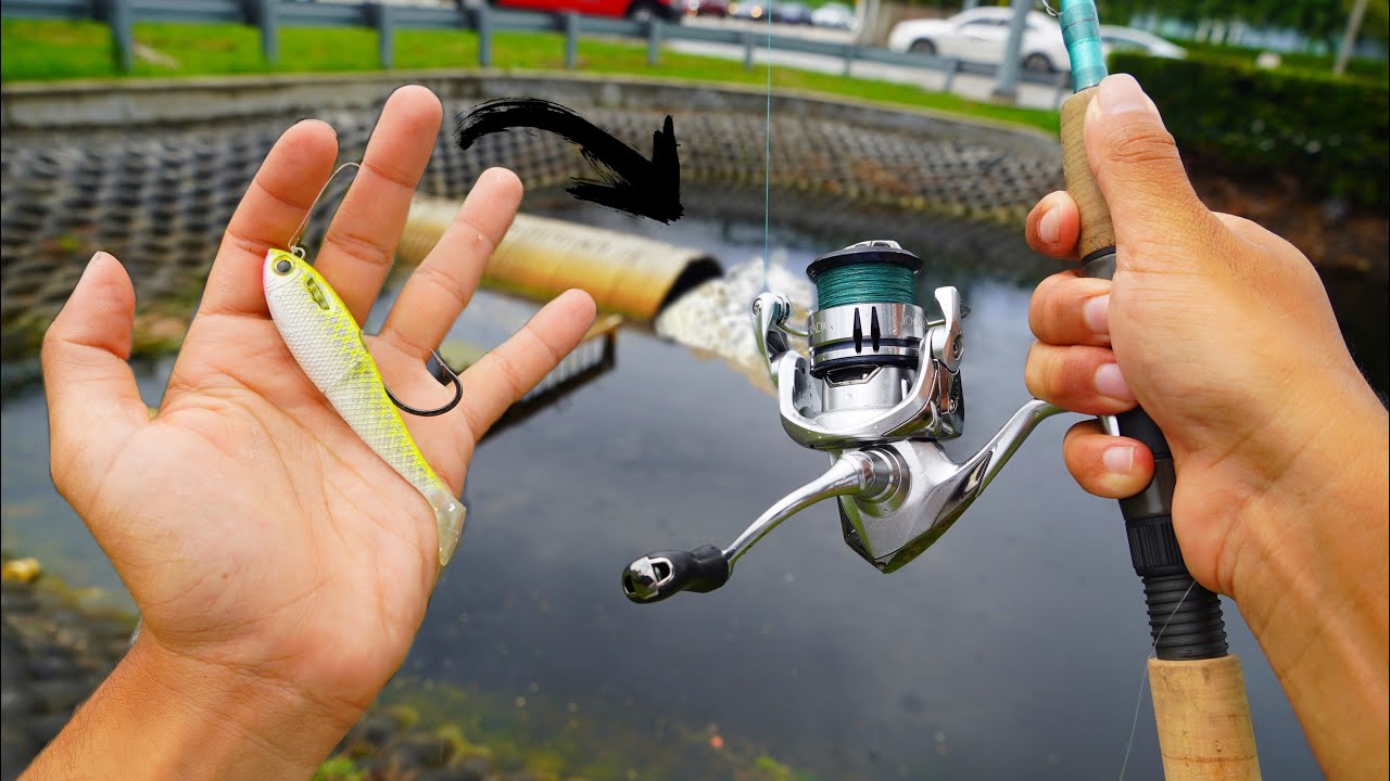 Light Tackle SPILLWAY Tarpon