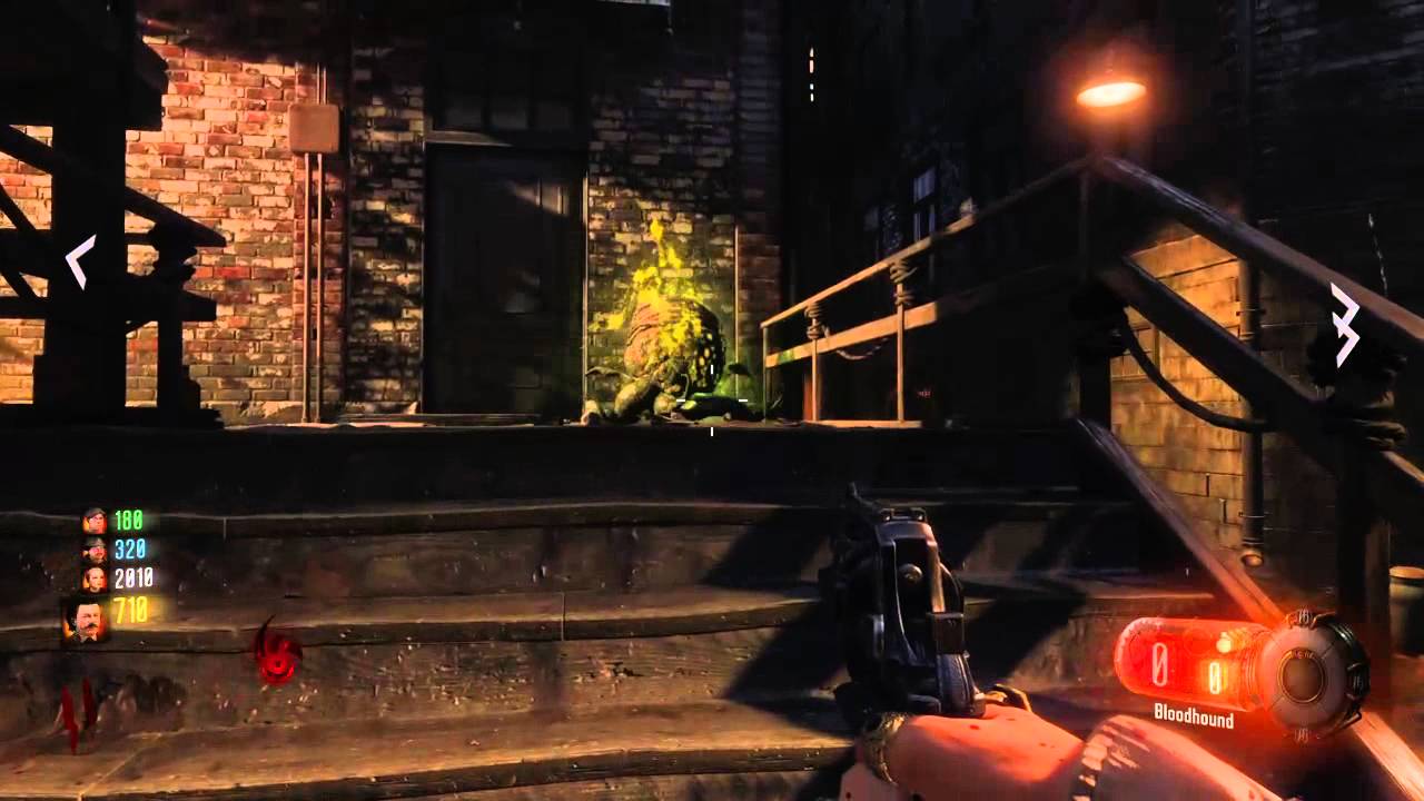 Black ops zombies: Newfound friends..