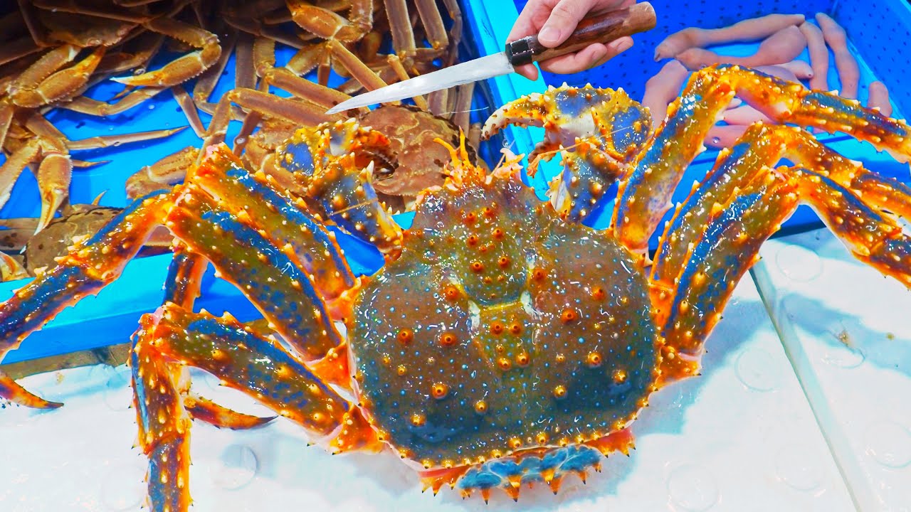 Seafood Master！Giant King Crab Cutting, Luxurious Sashimi, Crab Legs/市場最鮮！巨大帝王蟹切割大師, 蟹腳生魚片, 蟹膏炒飯