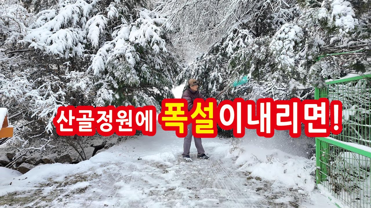 정원에 밤새 폭설이 내리면 눈꽃이 장관입니다