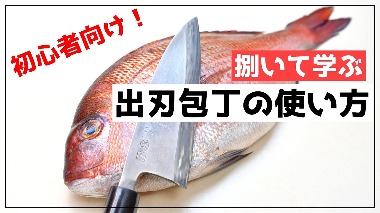 【初心者向け】出刃包丁の特徴と使い方～マダイを捌いてみよう！【魚のさばき方】
