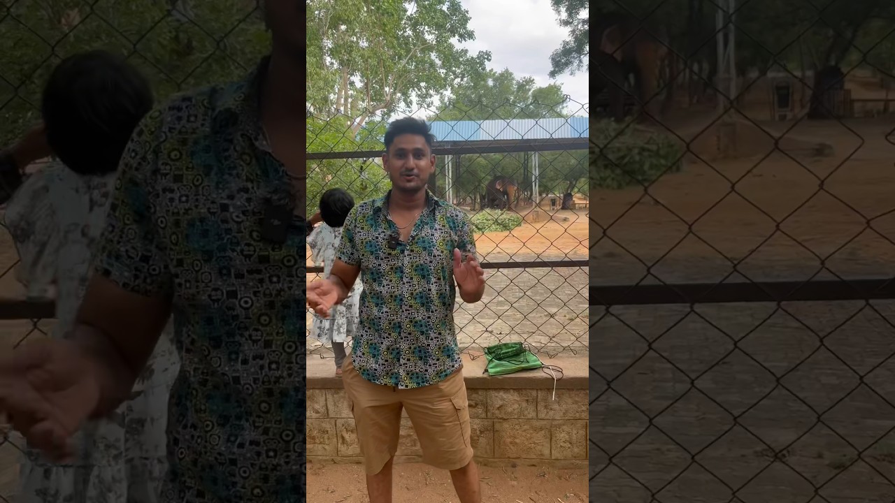 Tirupati biggest zoo park || sri venkateswara zoological park Turupati