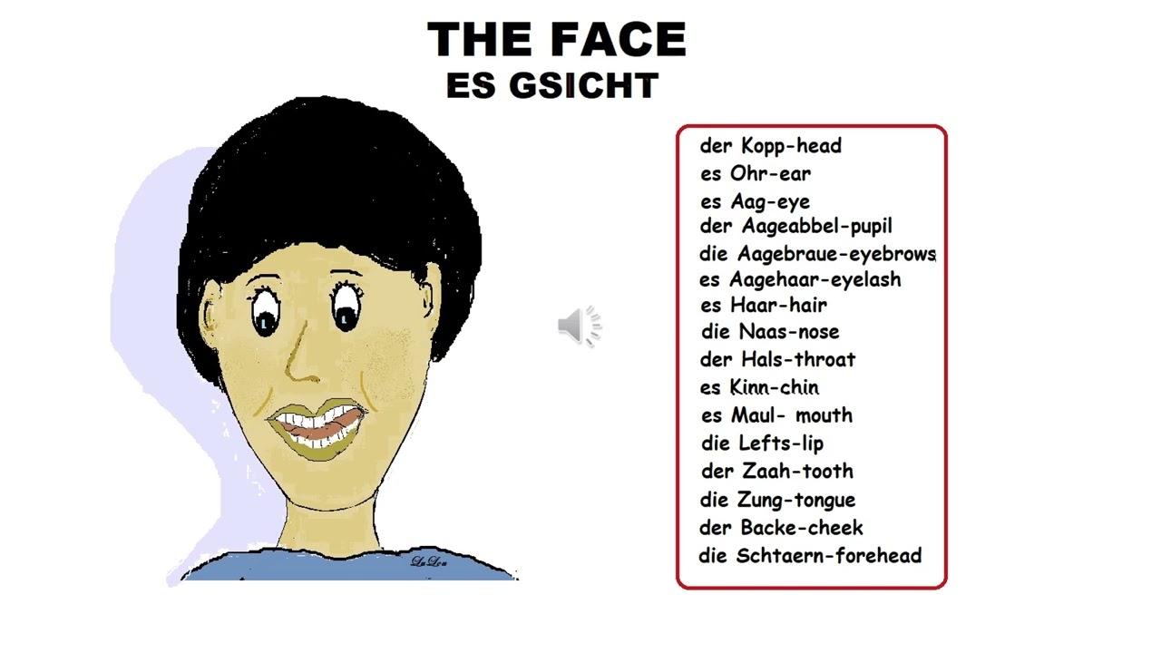 THE FACE- EZ Deitsch-Learning PA Dutch/ PA German