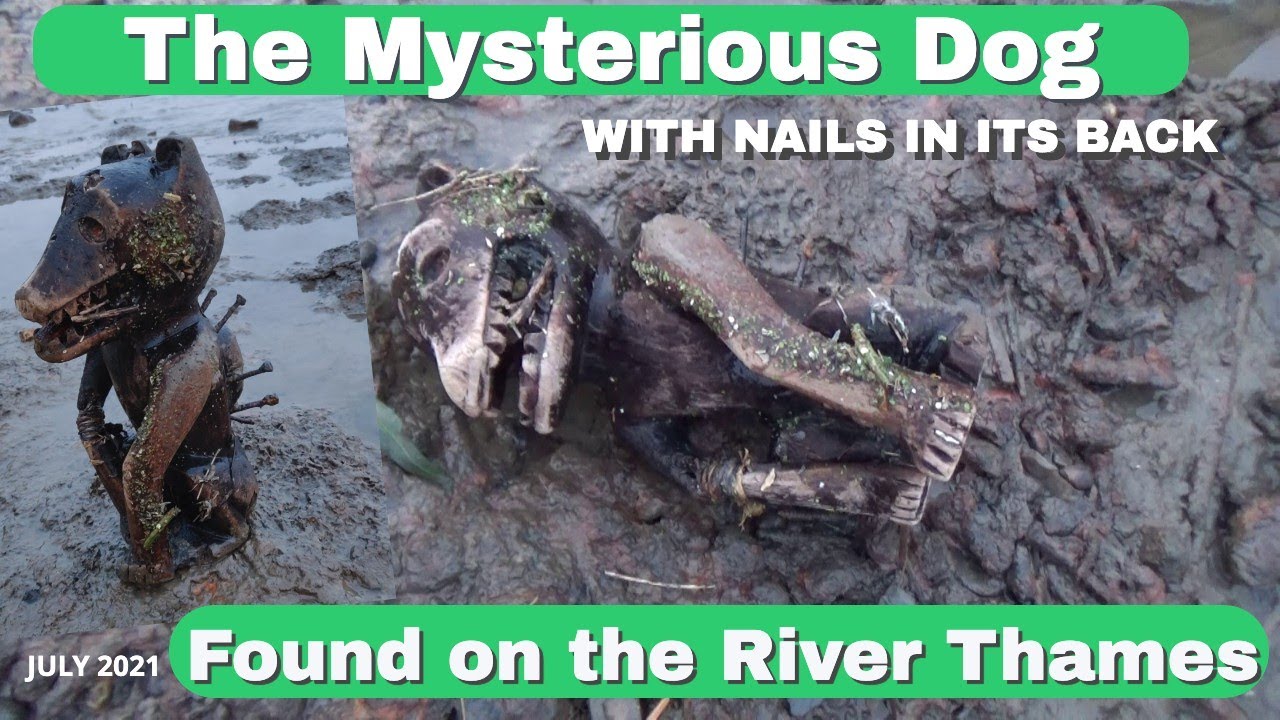 Mudlarking the River Thames : The Mysterious Wooden Dog with nails in his back found on the Thames